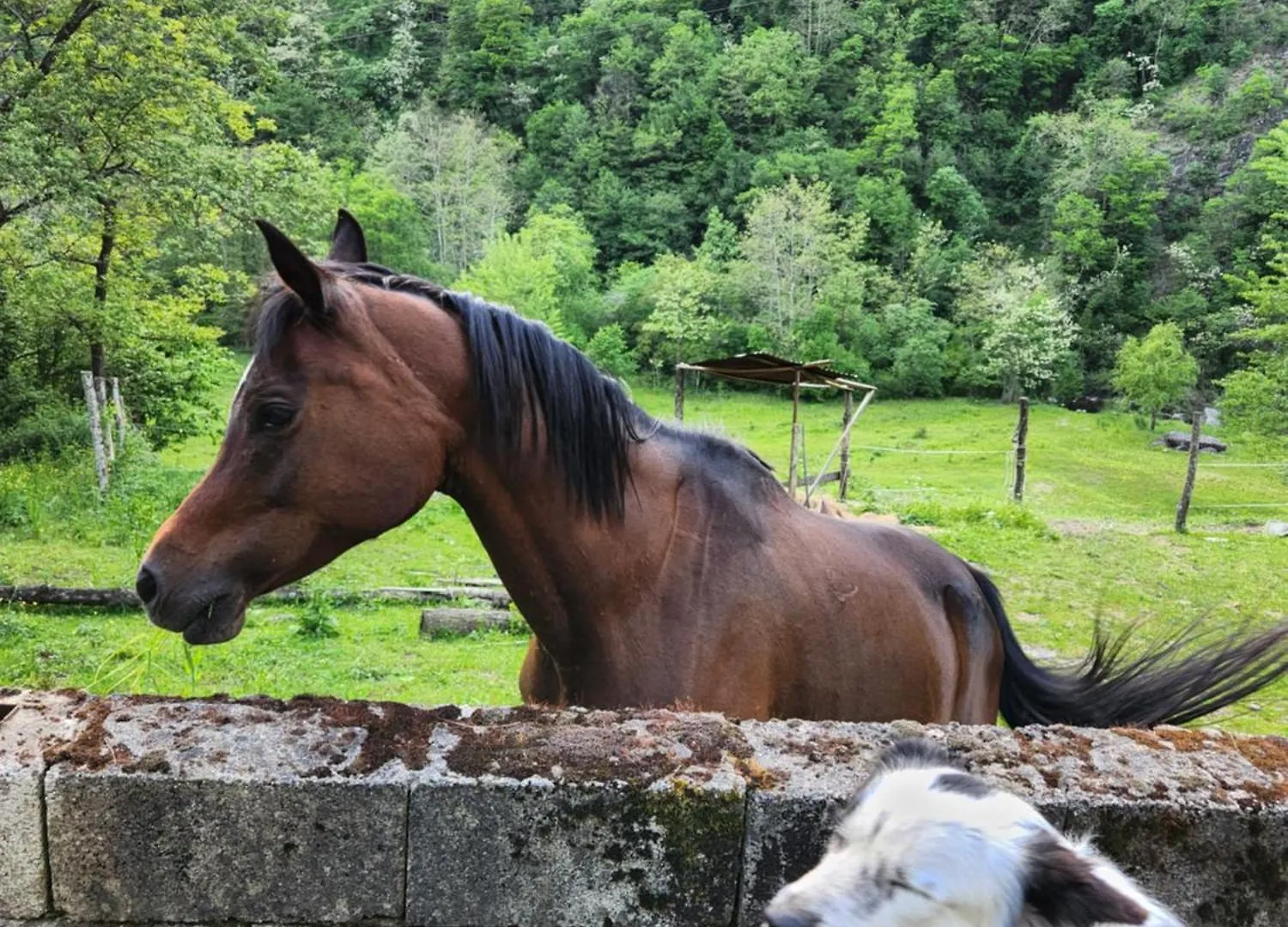 Alojamento de Turismo Rural Contea Del Piano Vila Piteglio