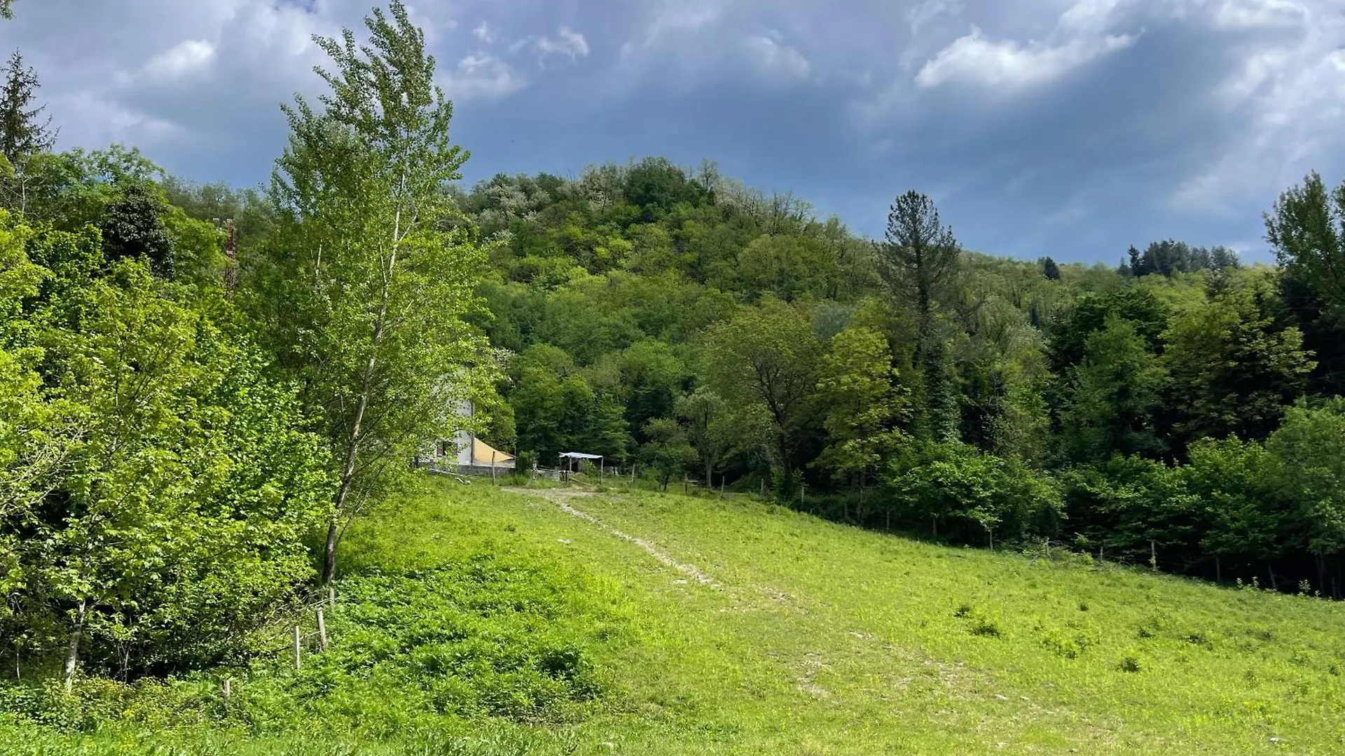 Contea Del Piano Villa Piteglio Farm stay