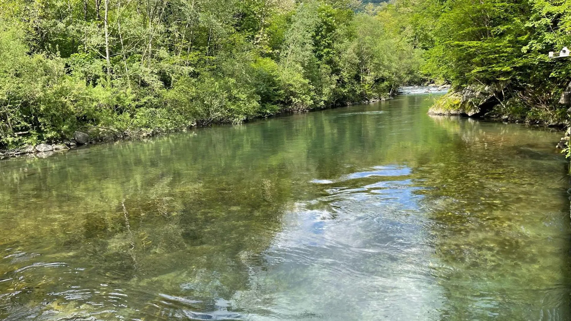 Farm stay Contea Del Piano Villa Piteglio Italy