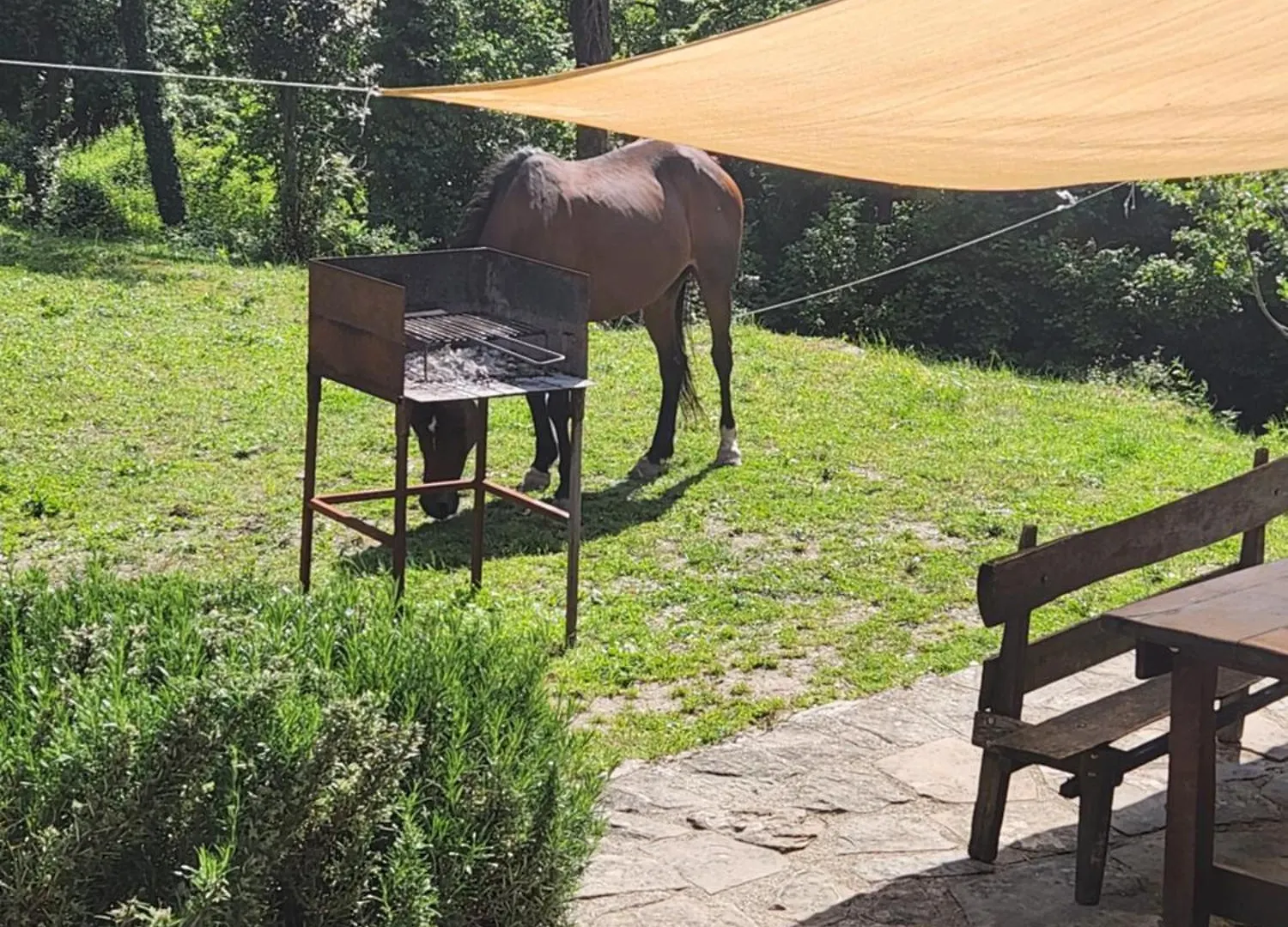Contea Del Piano Villa Piteglio Farm stay